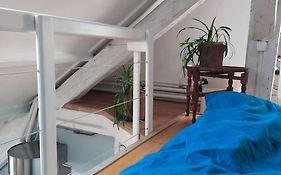 Studio Sous Les Toits Et Mezzanine - Vincennes